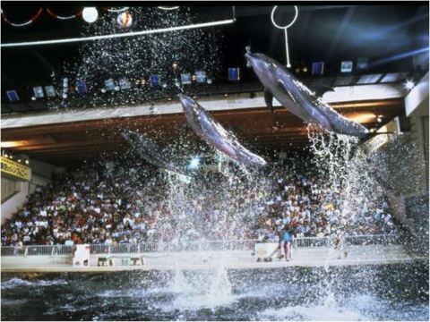 센트럴 호텔 요코스카