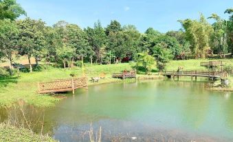 Angkor Forest