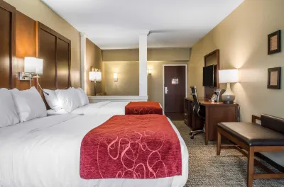 Comfort Suites Manheim - Lancaster Отели в г. Восток Донегал Тауншип