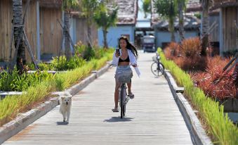 Koh Apikjun Resort