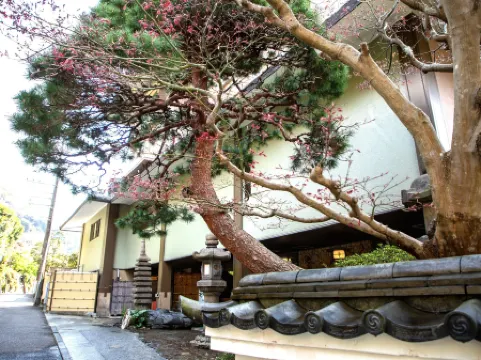 若松 箱根湯河原