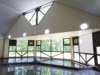 Self-Flowing Hot Spring Source Hotel Colina Yaita Hotels in Yaita