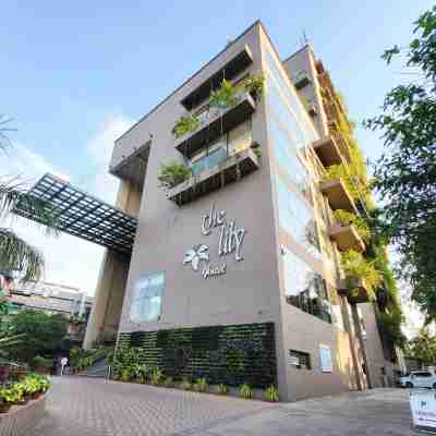 The Lily Hotel Hotel Exterior
