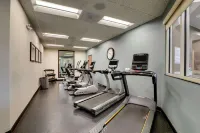 Drury Inn & Suites Grand Rapids - gimnasio