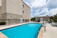 La Quinta Inn & Suites by Wyndham Cullman - Pools