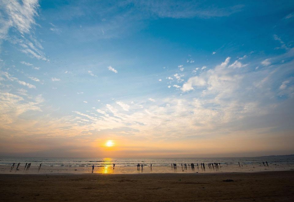 2. 니란타 트랜짓 ..