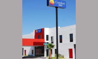 CasaSur Palermo Hotel