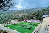 Nature Villa Resort Hotels in Chail