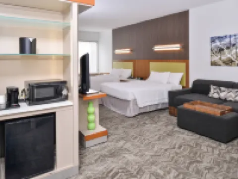 SpringHill Suites Ashburn Dulles North Hotels in Ashburn