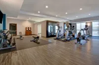 Hampton Inn & Suites Borger