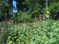 Cozy Little Cabin on the Farm