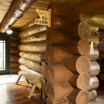 3 acre Lake, Farm Animals Petting Zoo, Horses and Horseback Riding, Room to roam