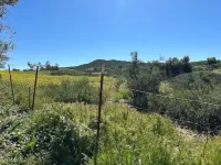 Buckley Farm Casita