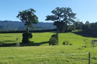 Farm "The Quarters" Foxground", Berry views