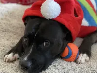 Private Studio-Steps To Beltline-Short/Long Term