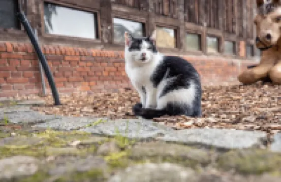 Farm holiday to feel good, where at night the stars shine!