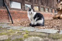 Farm holiday to feel good, where at night the stars shine!