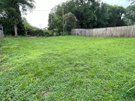 Whole House, sleeps 7,  within walking distance to downtown Spartanburg!