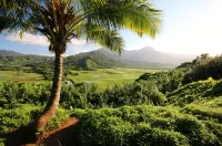 Remodeled Condo 300 Ft From The Ocean!!!