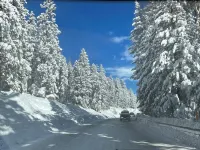 Air Conditioned 3200 sq/ft Home, New Decks & Hot Tub in the Pines.