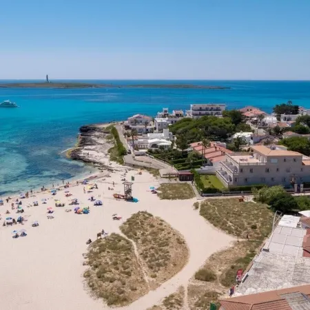 Comitas Isla del Aire