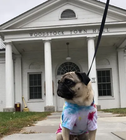 Endless Mountain Views & Outdoor Hot Tub. 8 miles to downtown Windham & Skiing!