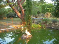 Holiday flat of the size of 45 m² on a large estate with pool close to Arles