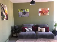 Une Pause Entre mer et Marais