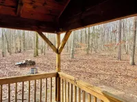 Cozy cabin in the woods! Pets welcome!