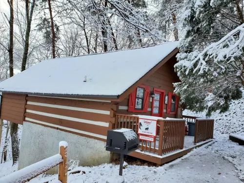 Cozy Studio Cabin In The Smokies. Close to Pigeon Forge + Wears Valley.