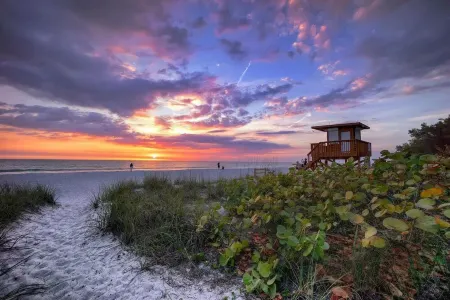 Tiny Tulum "Heart of Tampa Bay Hotspots & Airport"