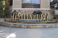Downtown, nice furnishings, clean and cozy w/ fireplace, indoor & outdoor pools.