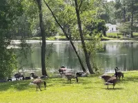 Experience Belleville in a 2 Br Cozy Home with a Stl Cardinals Theme. Hotels in Belleville