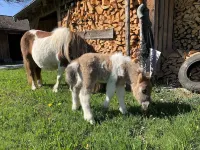 Apartment with a unique view
