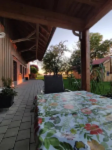 Cozy vacation apartment with alpine view, and quiet location