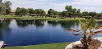 A Luxurious Waterfront Home awaits you!