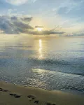 Lovely Home! Paradise at Sunny Isles Beach! 2BD/2BTH Ocean View Beach Condo.