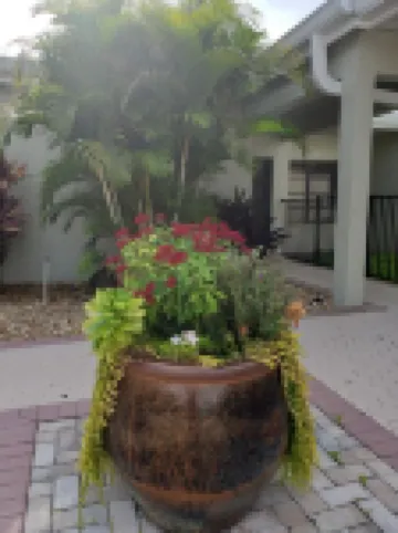 BEACH & SUNSETS CONDO!