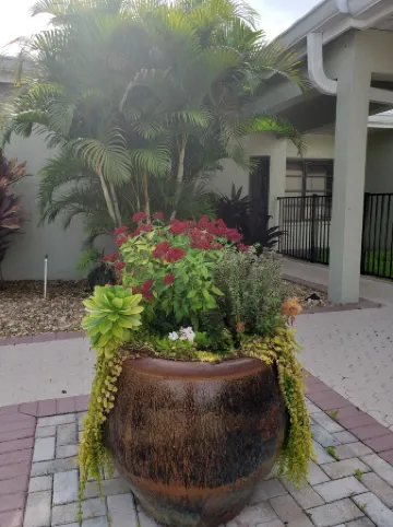 BEACH & SUNSETS CONDO!