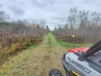 Secluded camp off the snowmobile trail Hotels in Aroostook County