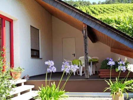 Well-kept vacation home in the middle of the vineyards. Apartment 3, short vacation on request