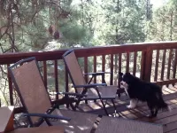 Peaceful, Easy Feeling, Hot Tub! Great Reviews!Weekly Discount! Dogs W/Approval