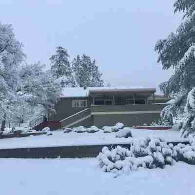 Secluded Yet Close!  Meadow Oak Cabin, Kernville Hotel Exterior