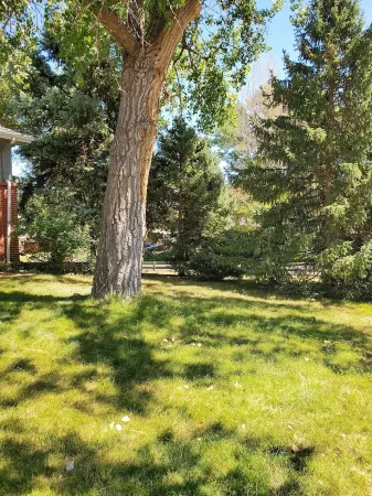 3-bedroom vacation home just 12 minutes from Empower Field at Mile High