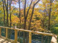 Renovated, Foosball, In the trees, EV charger!