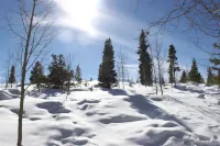 Spacious Family Home Close to 4 Ski Resorts, Summit County CO- Mountain Serenity