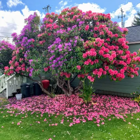 Sunny Cottage, Close to Town & Family Friendly