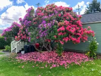 Sunny Cottage, Close to Town & Family Friendly