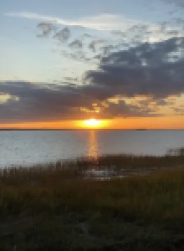 Home Near Sullivans Island, Old Village, Mt Pleasant, Beaches, 10 Min to Chs マウント・プレザントのホテル