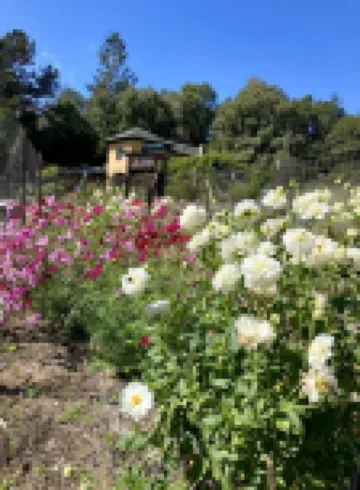 Monterey Bay Farm Retreat! Best Access to Monterey & Santa Cruz Attractions.